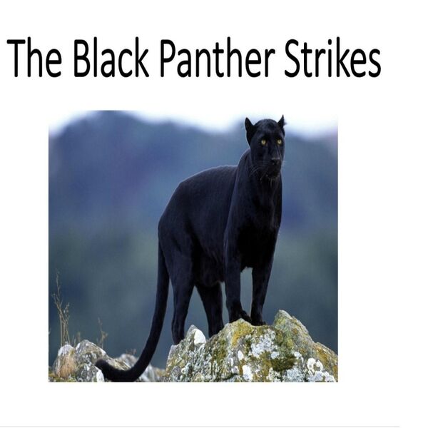 Cover art for The Black Panther Strikes