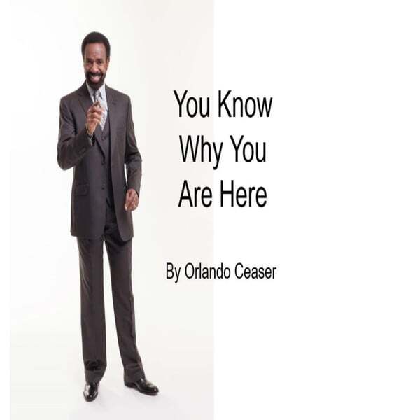 Cover art for You Know Why You Are Here